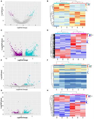 Prediction of Self-Perception of Patient in Rheumatoid Arthritis With the Key RNAs Expression Profiles